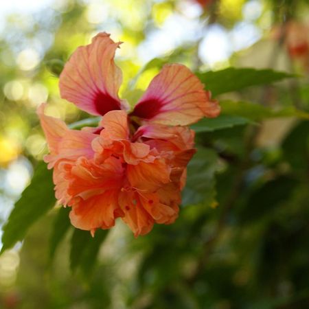 Hostal Casaluna San Andres Ngoại thất bức ảnh