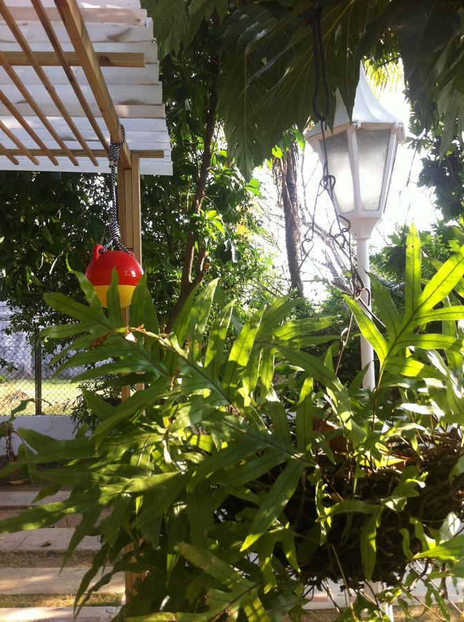 Hostal Casaluna San Andres Ngoại thất bức ảnh